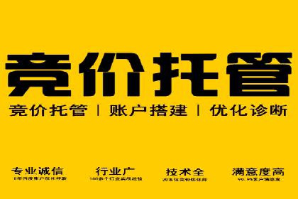 竞价推广策略：某电商平台的成功之路